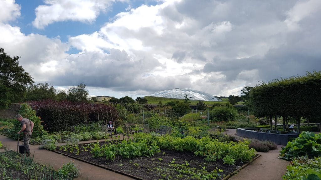 Vegetable Patch - National Botanic Garden of Wales