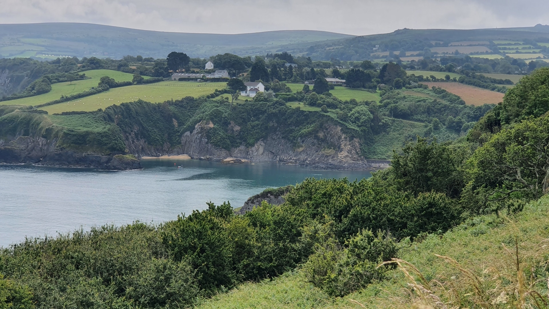 Dinas Head Coastal Walk - Glorious Views