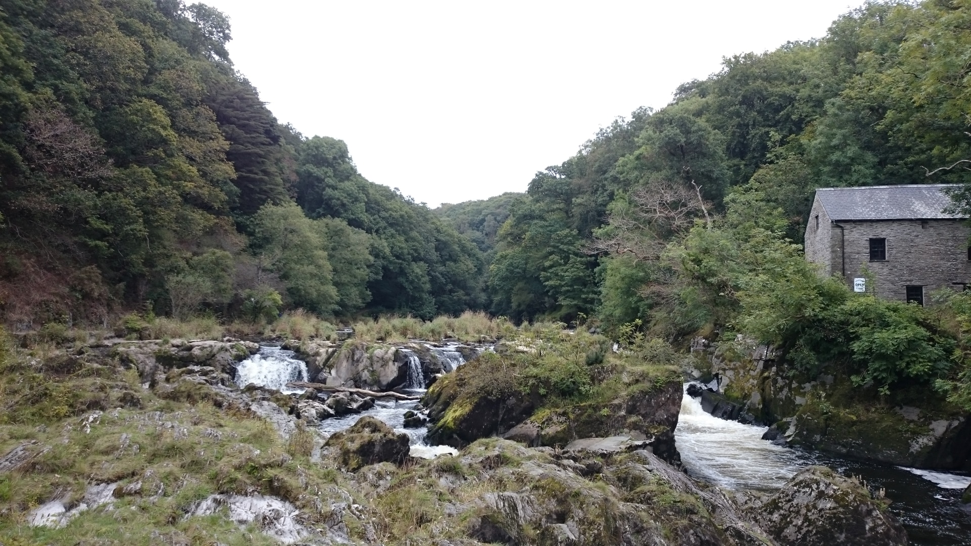 A Quiet Cenarth Falls